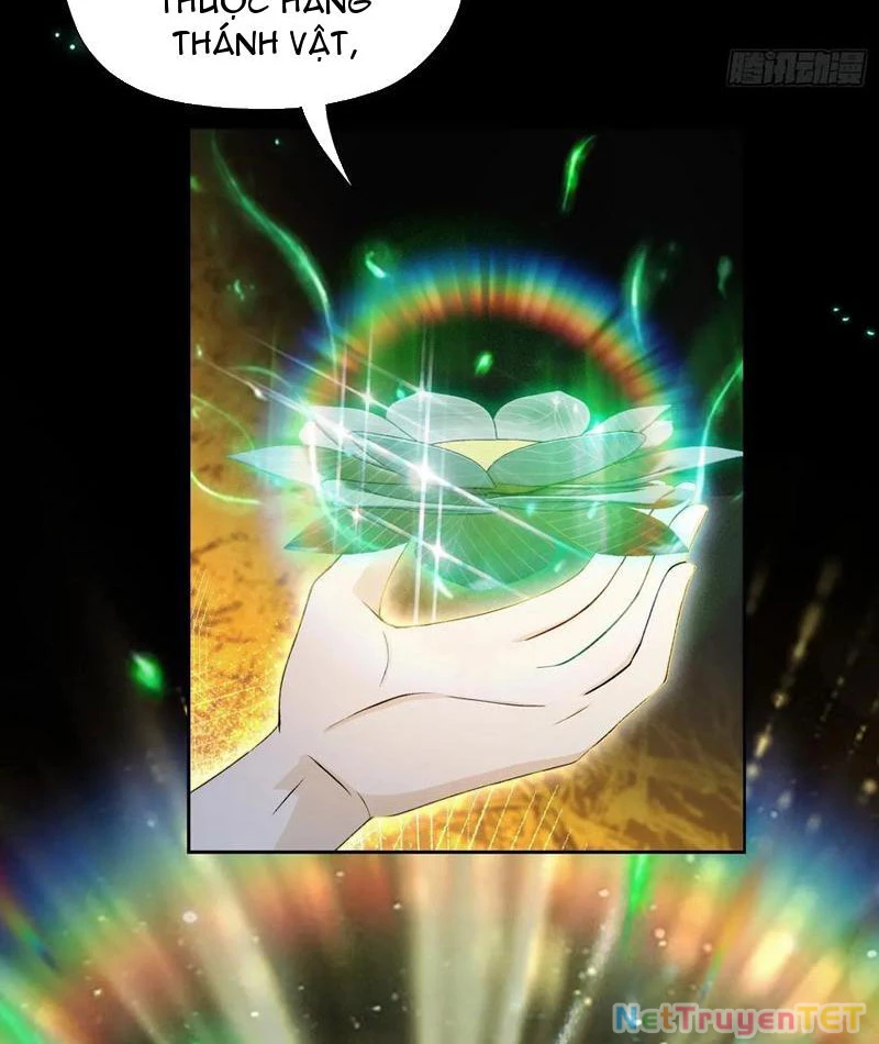 Hoá Ra Ta Đã Vô Địch Từ Lâu: Chapter 244