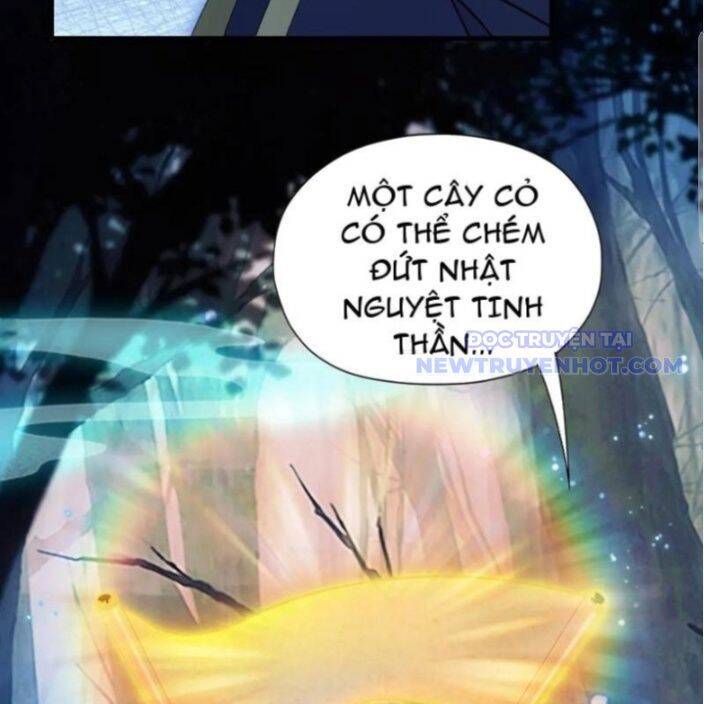 Hoá Ra Ta Đã Vô Địch Từ Lâu: Chapter 246