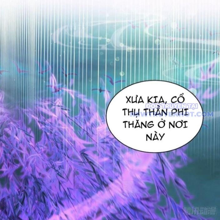 Hoá Ra Ta Đã Vô Địch Từ Lâu: Chapter 247