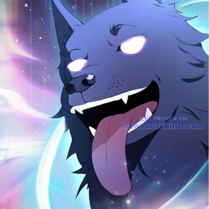 Hoá Ra Ta Đã Vô Địch Từ Lâu: Chapter 248