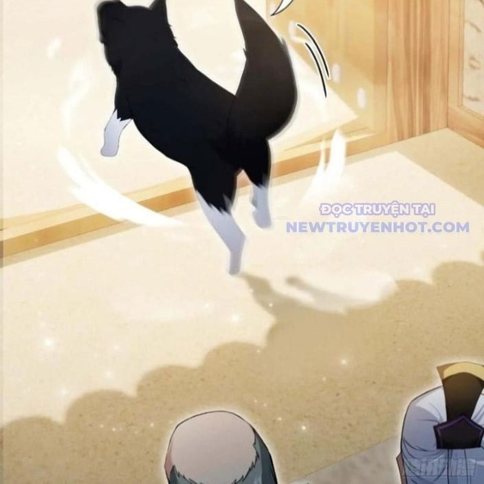 Hoá Ra Ta Đã Vô Địch Từ Lâu: Chapter 249