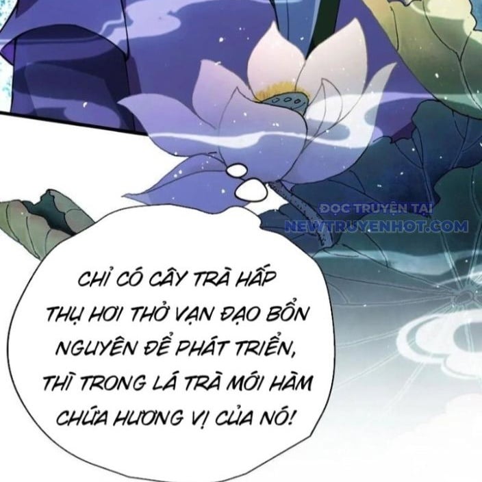 Hoá Ra Ta Đã Vô Địch Từ Lâu: Chapter 249