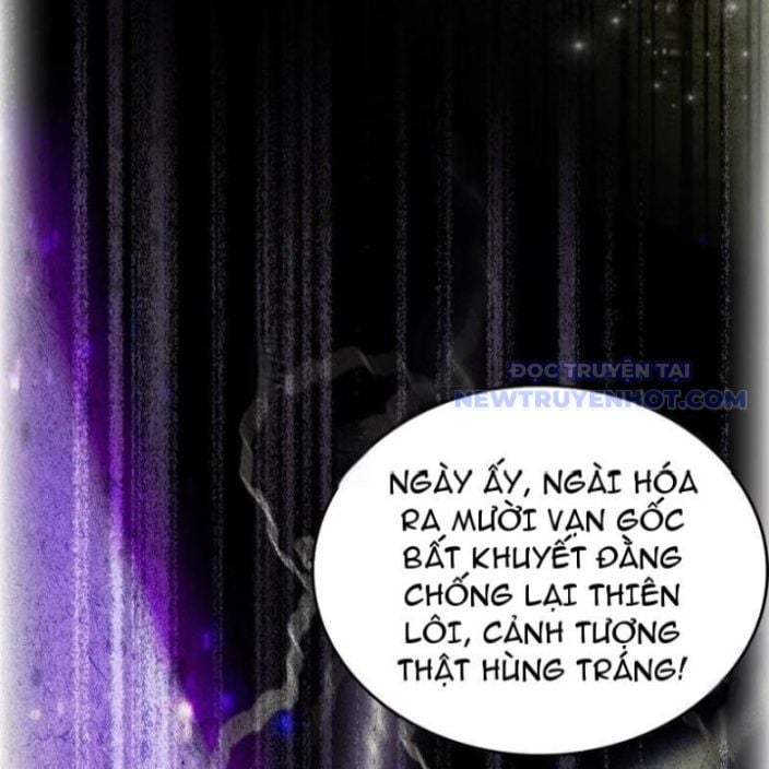 Hoá Ra Ta Đã Vô Địch Từ Lâu: Chapter 250