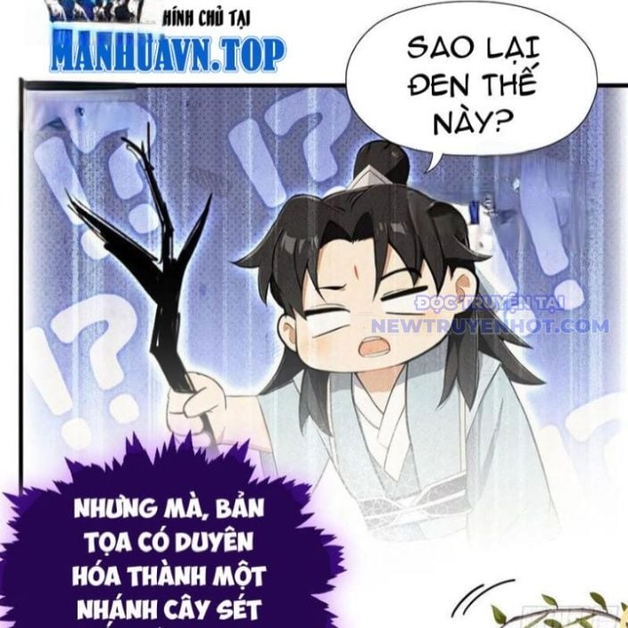 Hoá Ra Ta Đã Vô Địch Từ Lâu: Chapter 250