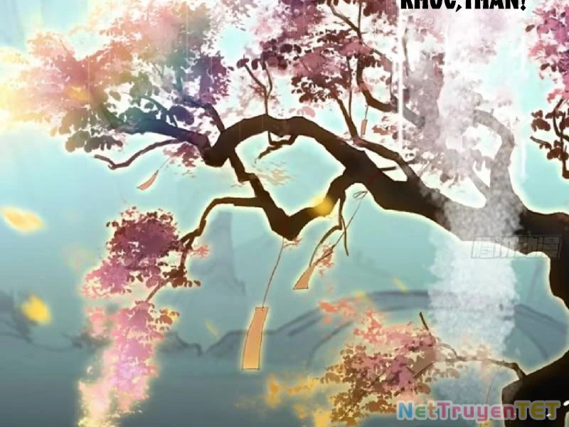 Hoá Ra Ta Đã Vô Địch Từ Lâu: Chapter 251