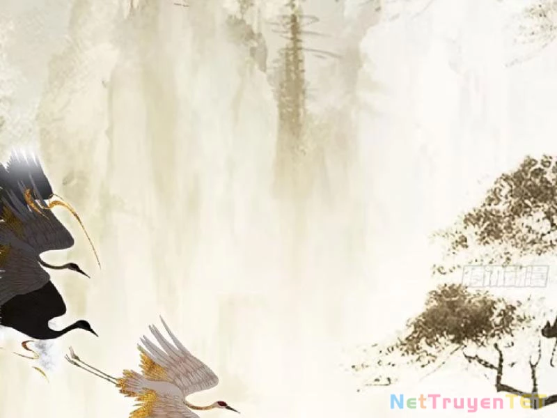 Hoá Ra Ta Đã Vô Địch Từ Lâu: Chapter 251