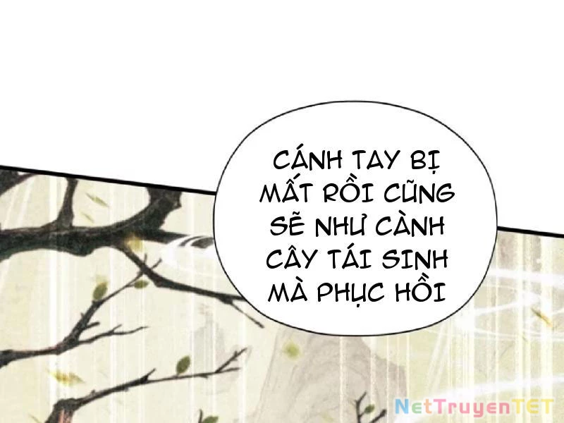 Hoá Ra Ta Đã Vô Địch Từ Lâu: Chapter 251