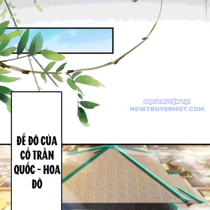 Hoá Ra Ta Đã Vô Địch Từ Lâu: Chapter 260