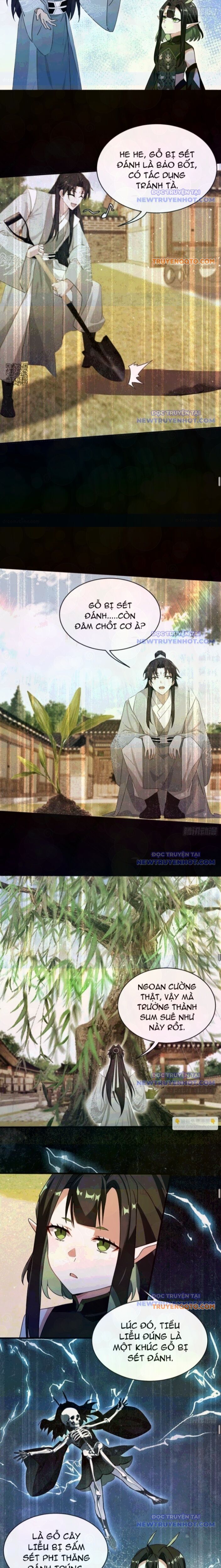 Hoá Ra Ta Đã Vô Địch Từ Lâu: Chapter 265