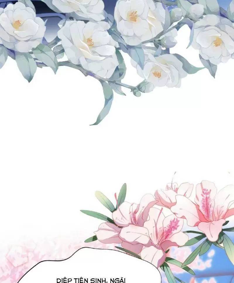 Hoá Ra Ta Đã Vô Địch Từ Lâu: Chapter 28