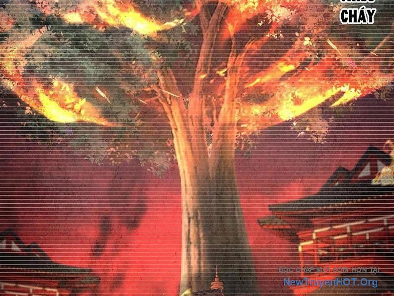 Hoá Ra Ta Là Lão Tổ Ma Đạo?: Chapter 102