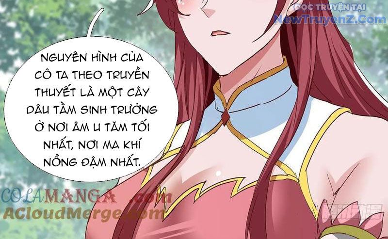 Hoá Ra Ta Là Lão Tổ Ma Đạo?: Chapter 97