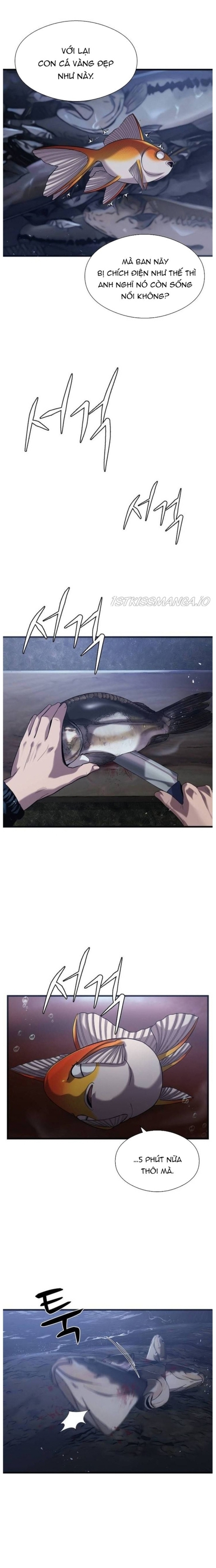 Hoá Thân Thành Cá: Chapter 25