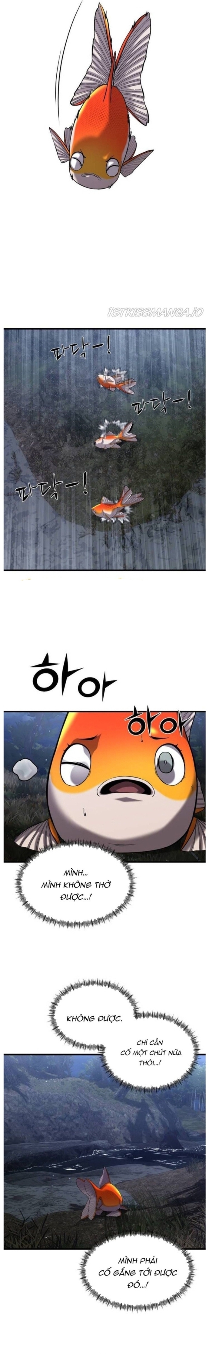 Hoá Thân Thành Cá: Chapter 25