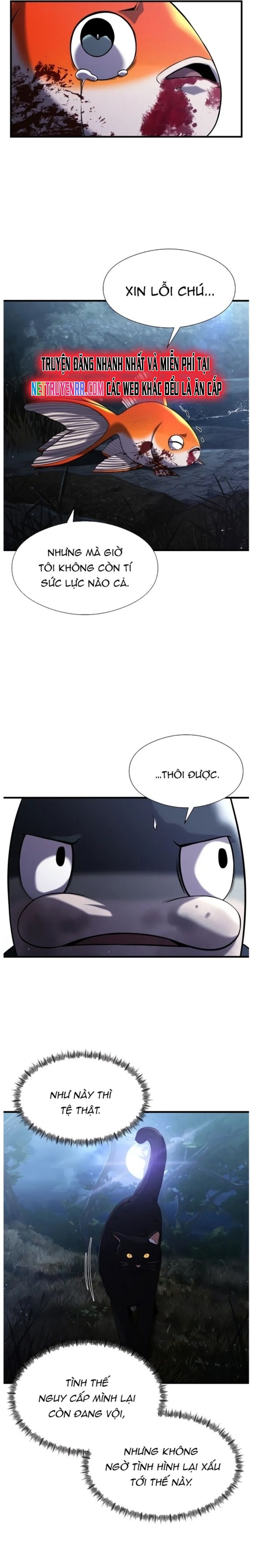 Hoá Thân Thành Cá: Chapter 27