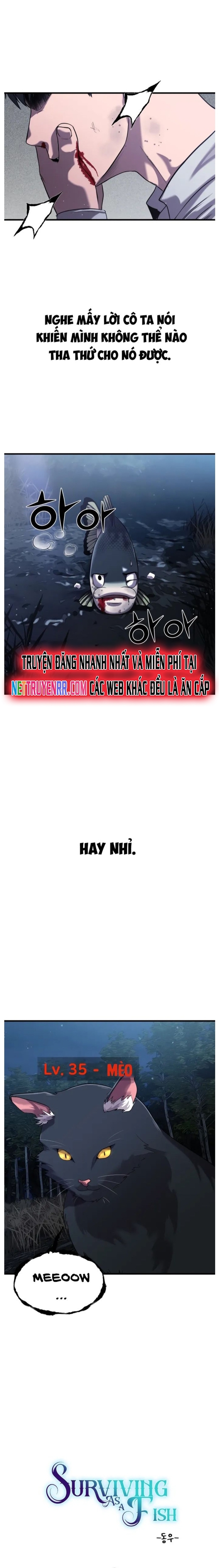 Hoá Thân Thành Cá: Chapter 27