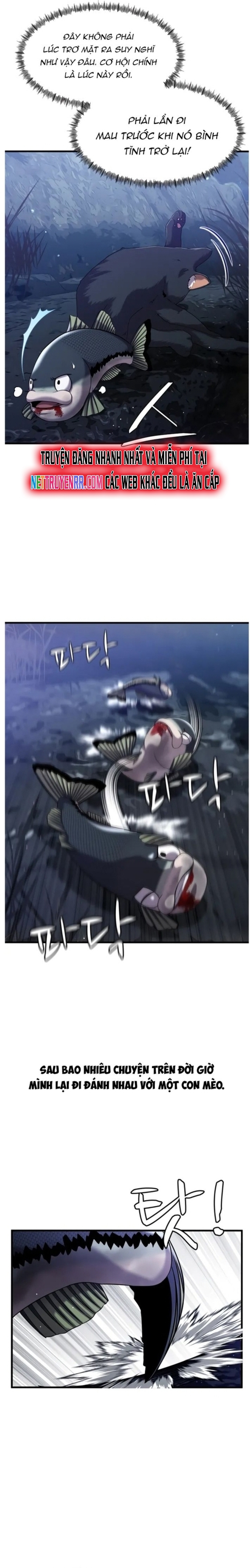 Hoá Thân Thành Cá: Chapter 28