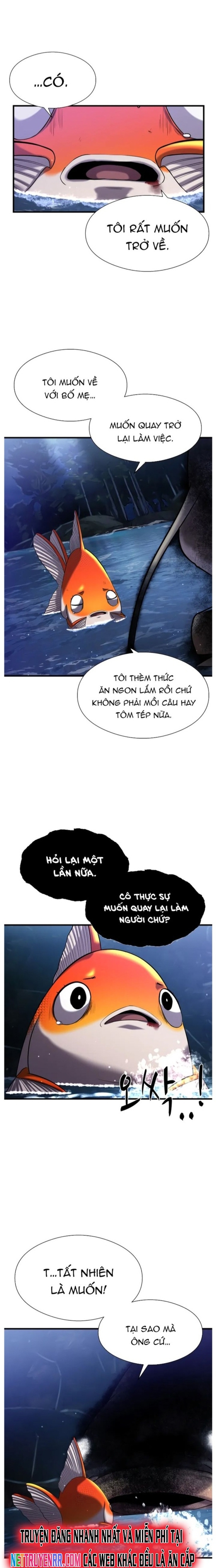 Hoá Thân Thành Cá: Chapter 28