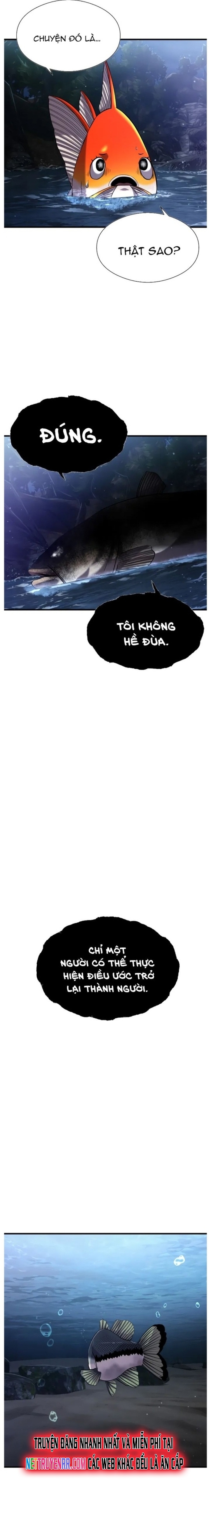 Hoá Thân Thành Cá: Chapter 28