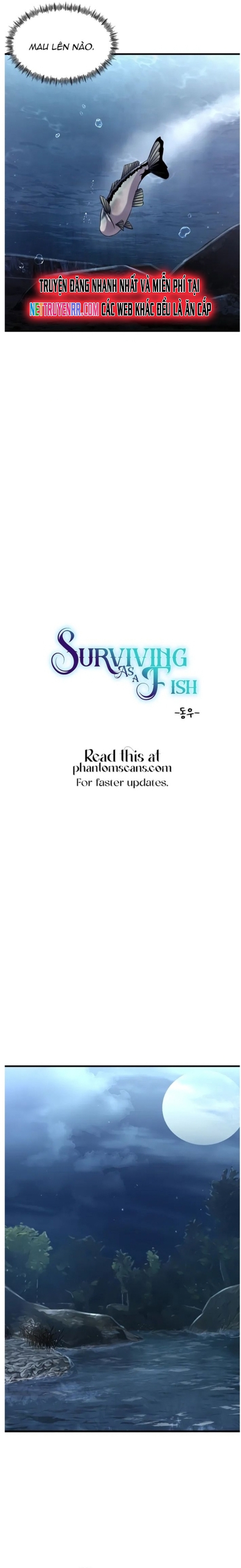Hoá Thân Thành Cá: Chapter 28