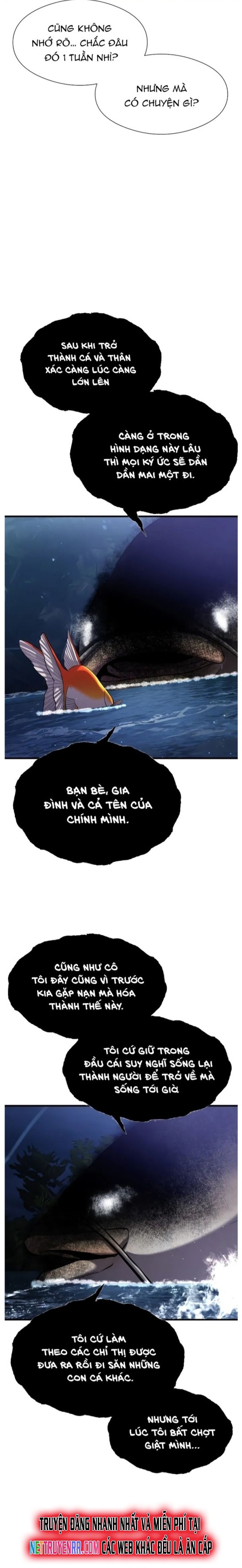 Hoá Thân Thành Cá: Chapter 28