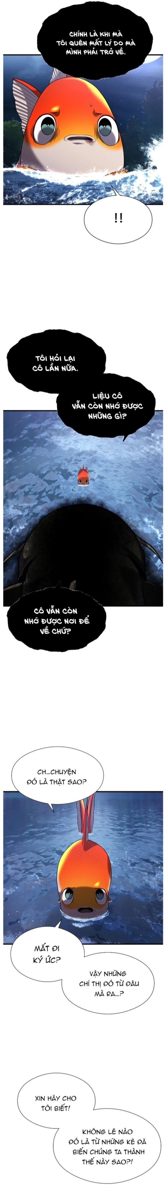 Hoá Thân Thành Cá: Chapter 28