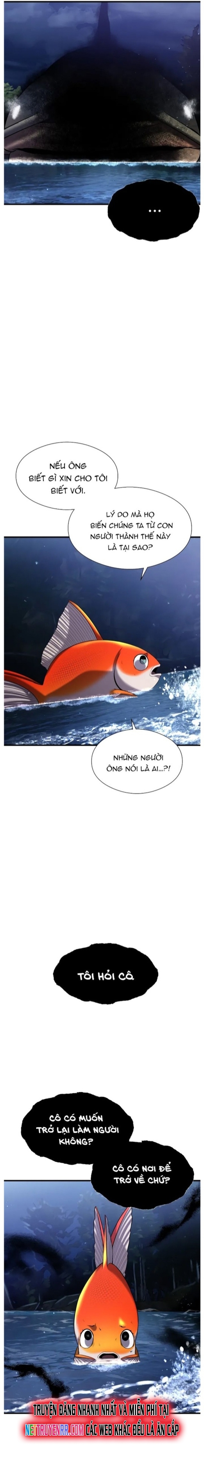 Hoá Thân Thành Cá: Chapter 28