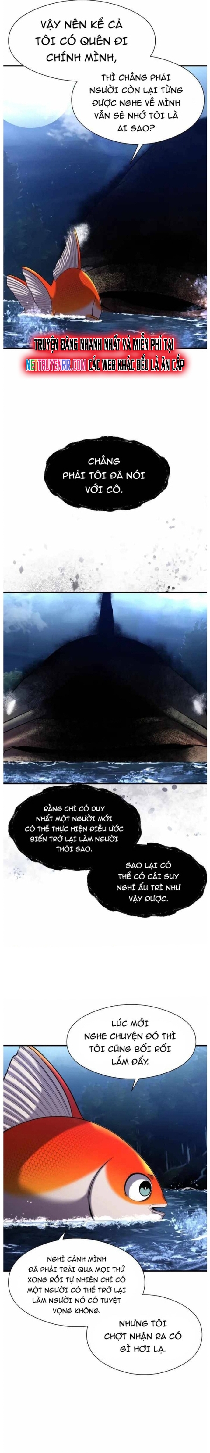 Hoá Thân Thành Cá: Chapter 29