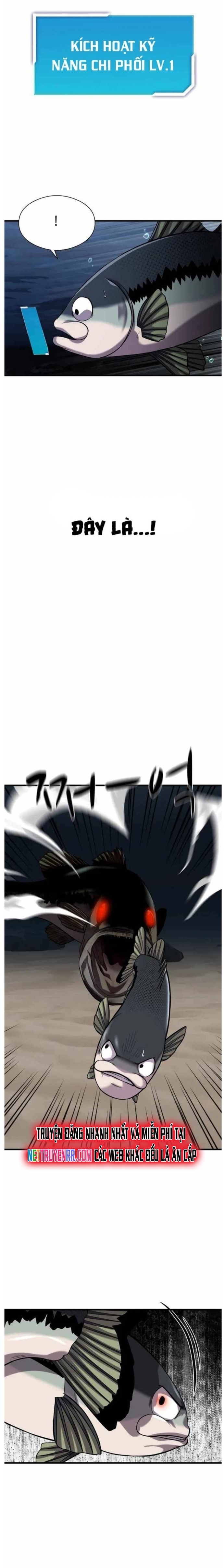 Hoá Thân Thành Cá: Chapter 29