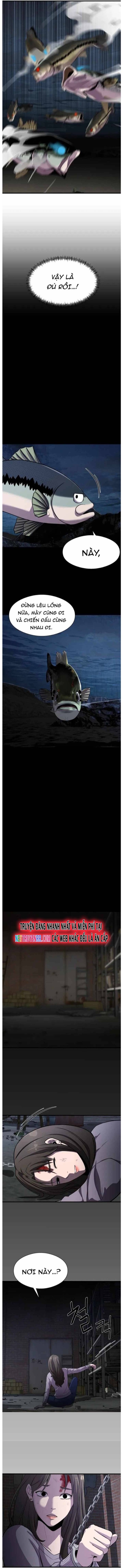 Hoá Thân Thành Cá: Chapter 29