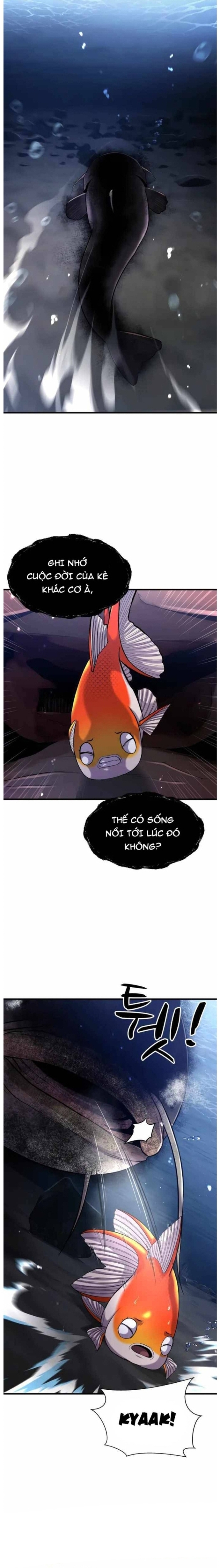 Hoá Thân Thành Cá: Chapter 29