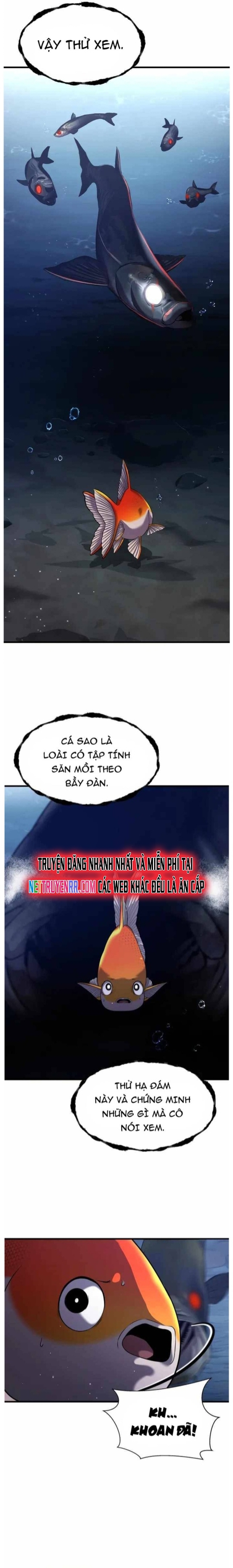 Hoá Thân Thành Cá: Chapter 29