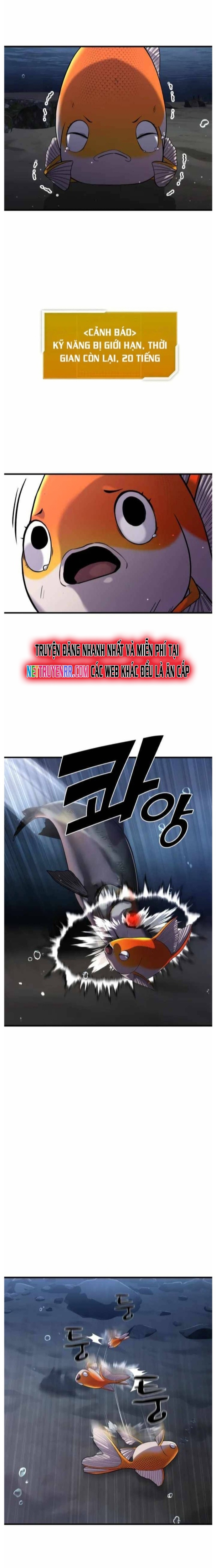 Hoá Thân Thành Cá: Chapter 29