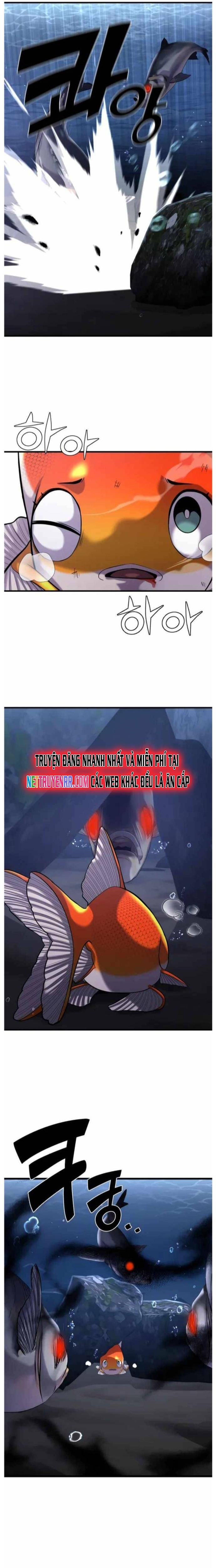 Hoá Thân Thành Cá: Chapter 29