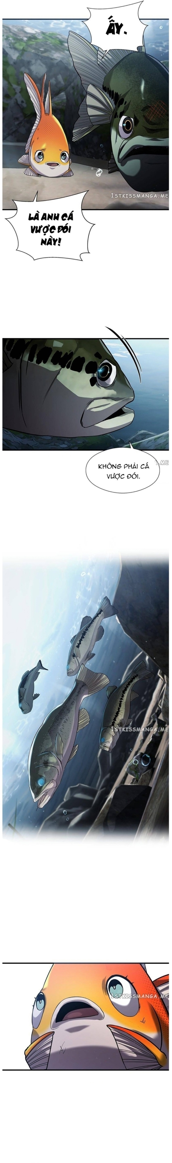 Hoá Thân Thành Cá: Chapter 30