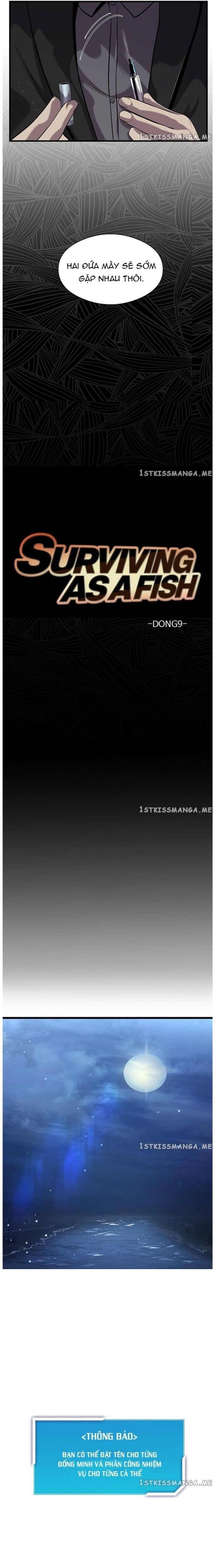 Hoá Thân Thành Cá: Chapter 30