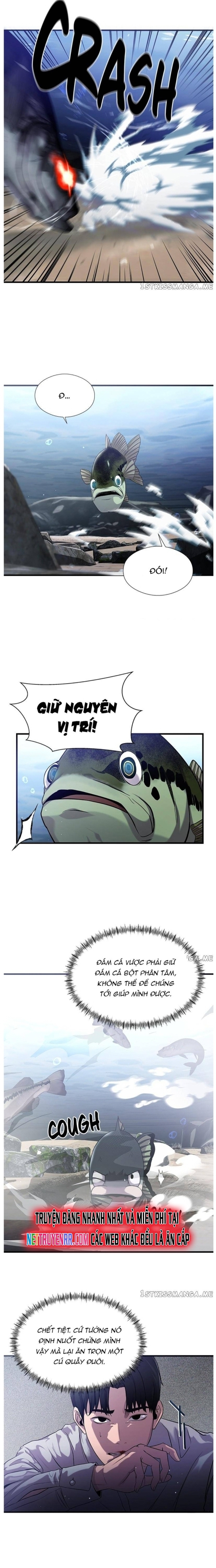 Hoá Thân Thành Cá: Chapter 31