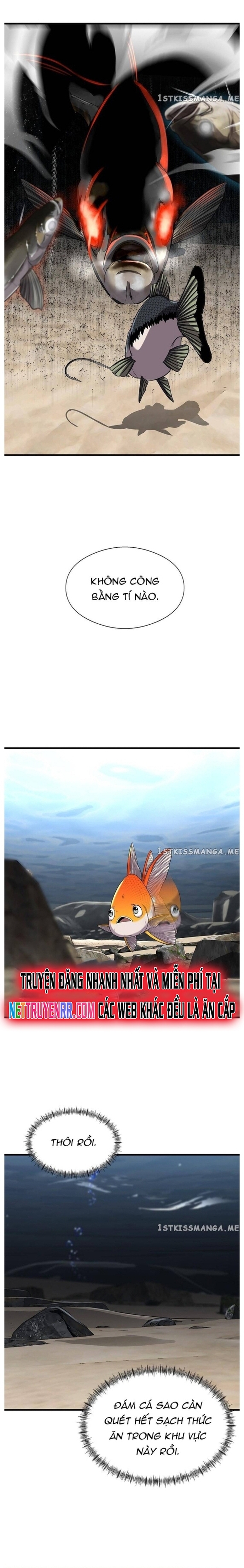 Hoá Thân Thành Cá: Chapter 31