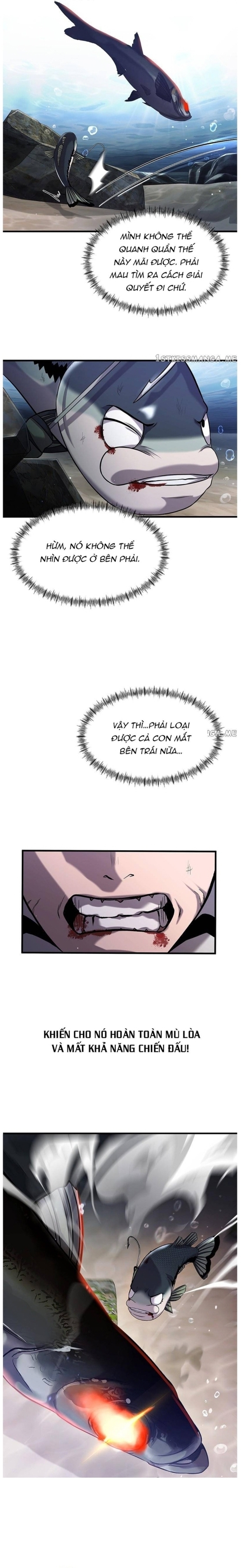 Hoá Thân Thành Cá: Chapter 32