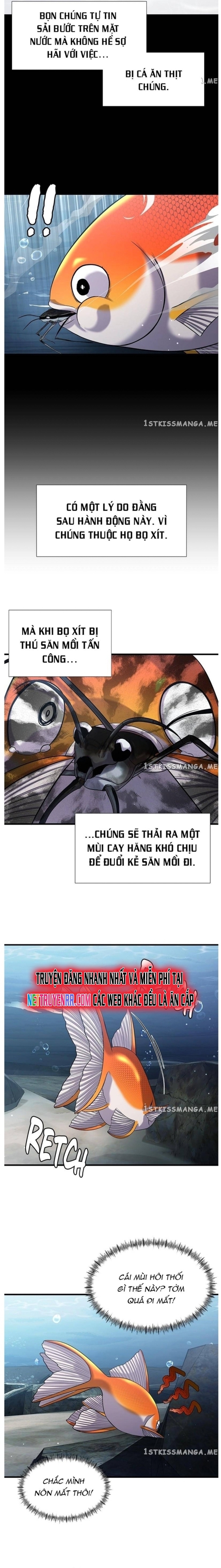 Hoá Thân Thành Cá: Chapter 32