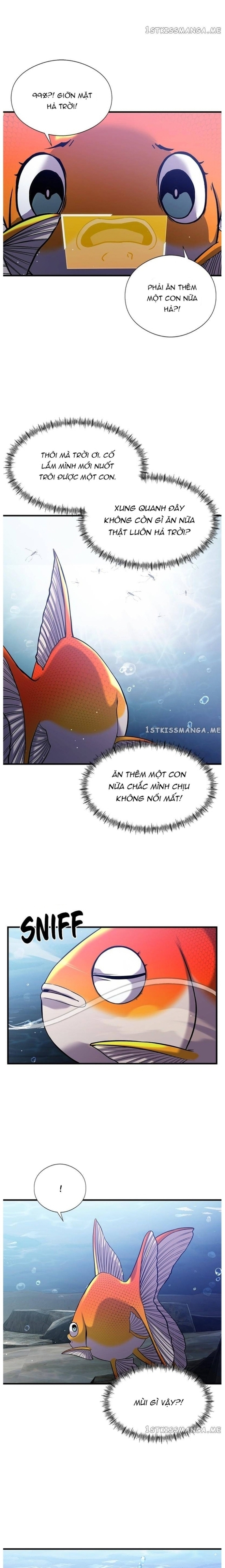 Hoá Thân Thành Cá: Chapter 33