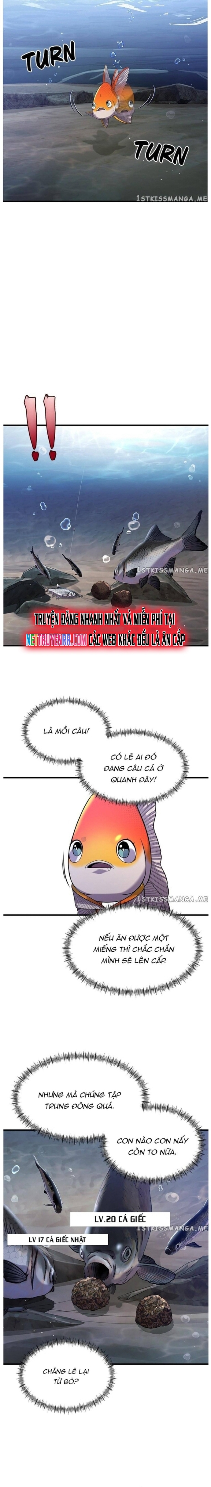 Hoá Thân Thành Cá: Chapter 33