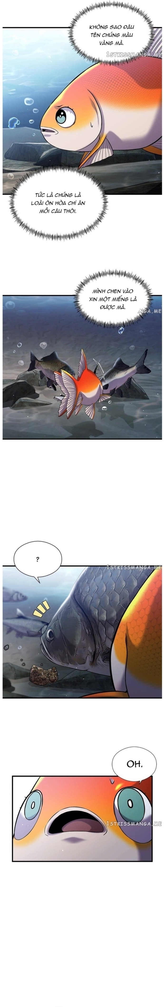 Hoá Thân Thành Cá: Chapter 33