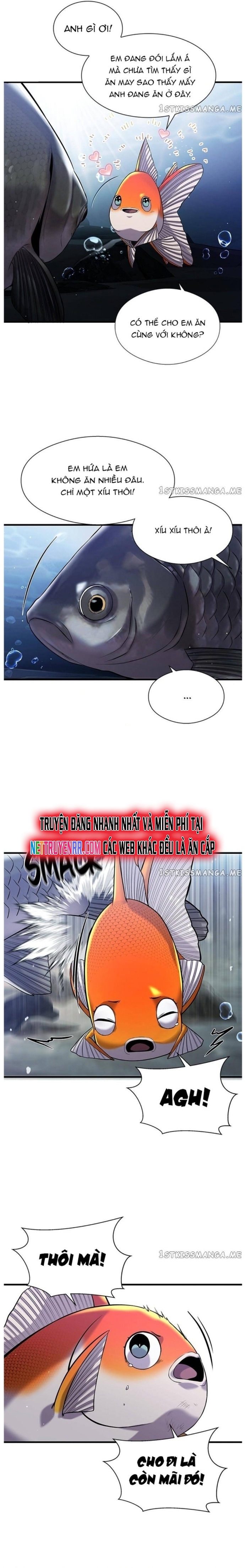 Hoá Thân Thành Cá: Chapter 33