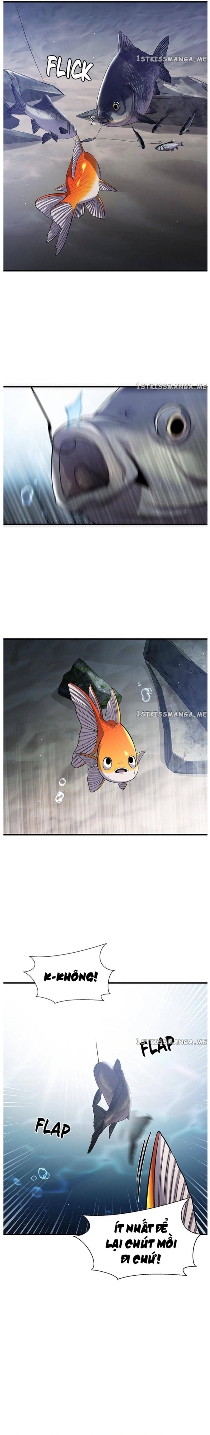 Hoá Thân Thành Cá: Chapter 33