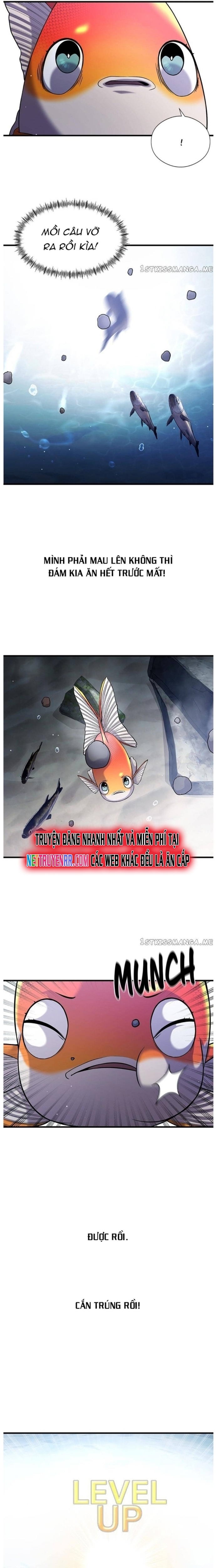 Hoá Thân Thành Cá: Chapter 33