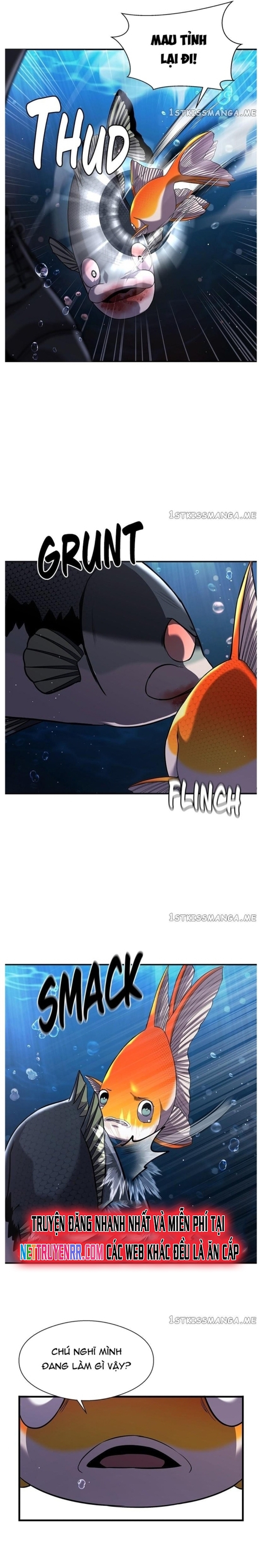 Hoá Thân Thành Cá: Chapter 37