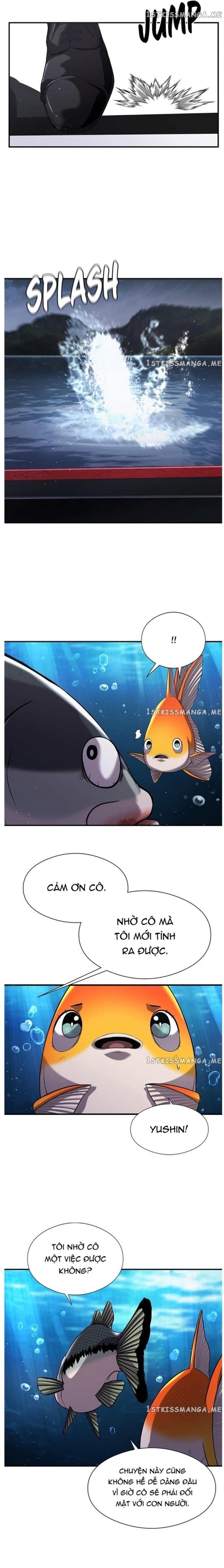 Hoá Thân Thành Cá: Chapter 37