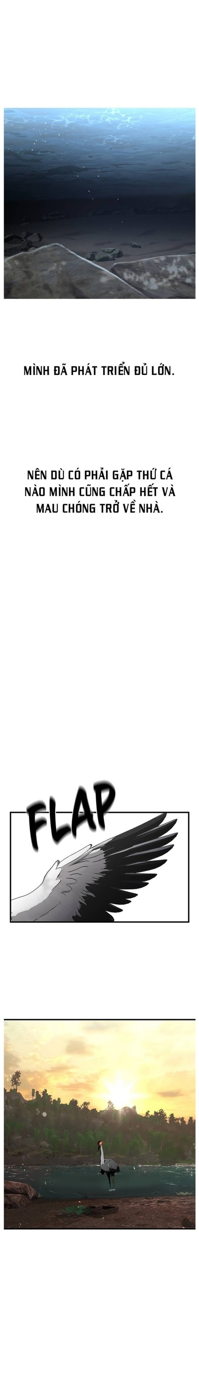 Hoá Thân Thành Cá: Chapter 39