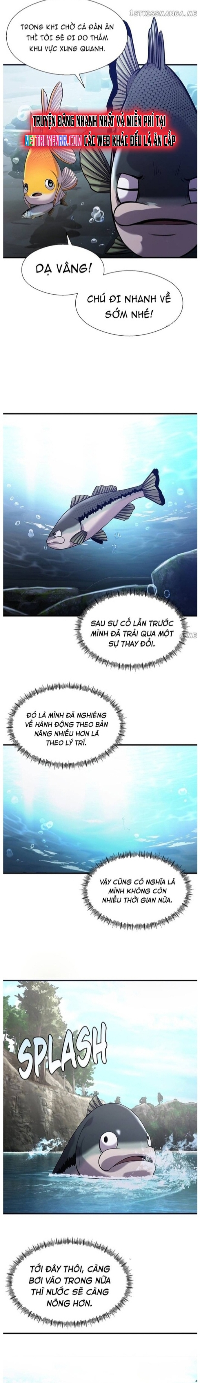 Hoá Thân Thành Cá: Chapter 40